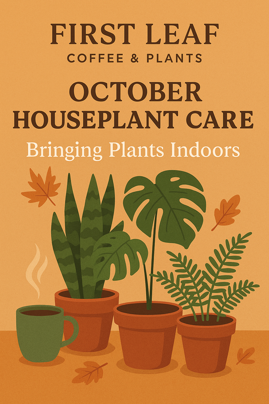 October Houseplant Care: Bringing Plants Indoors