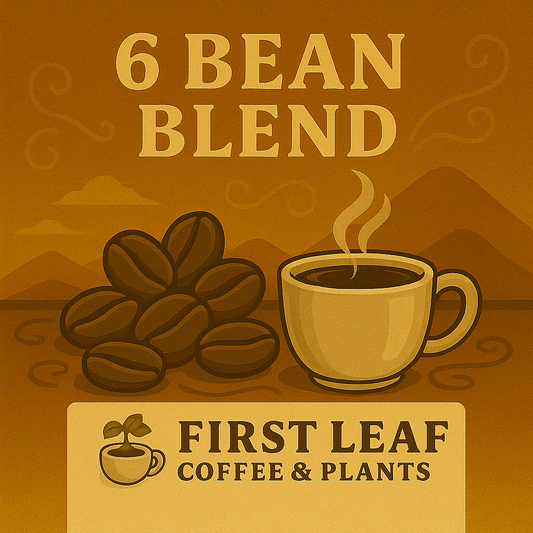 6 Bean Blend