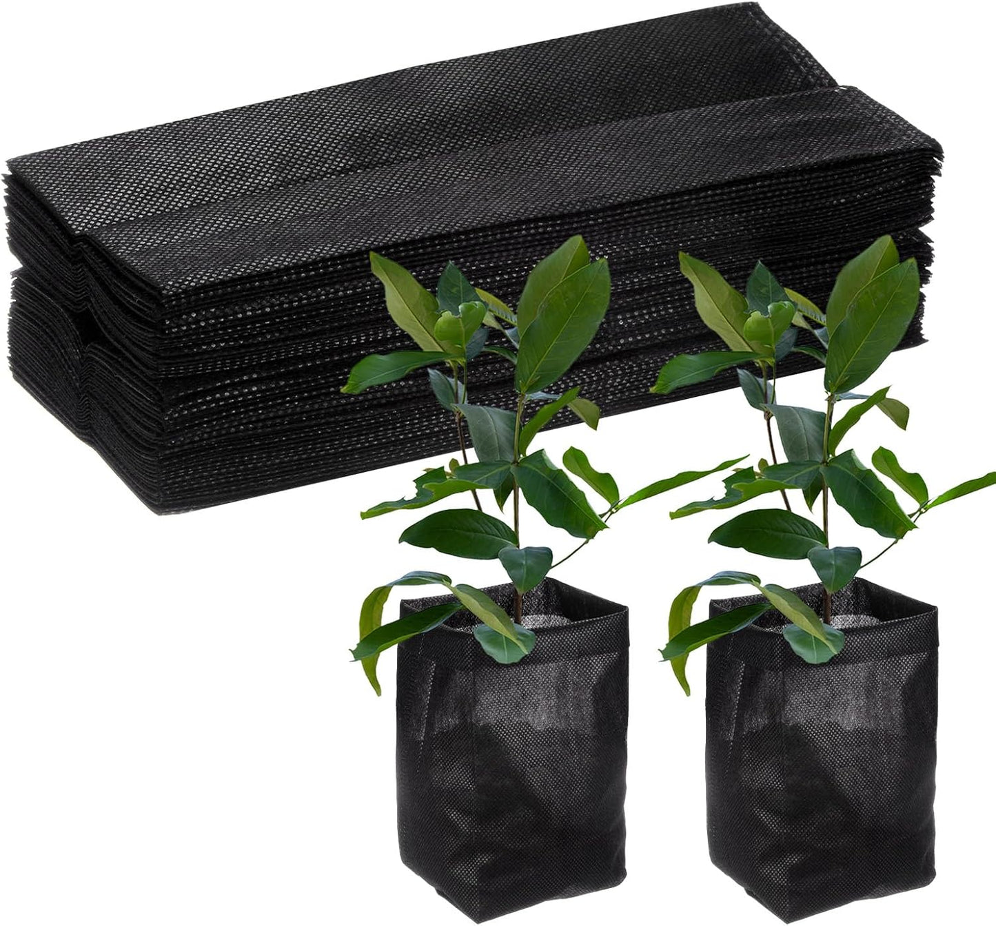 81AQD2urn1L