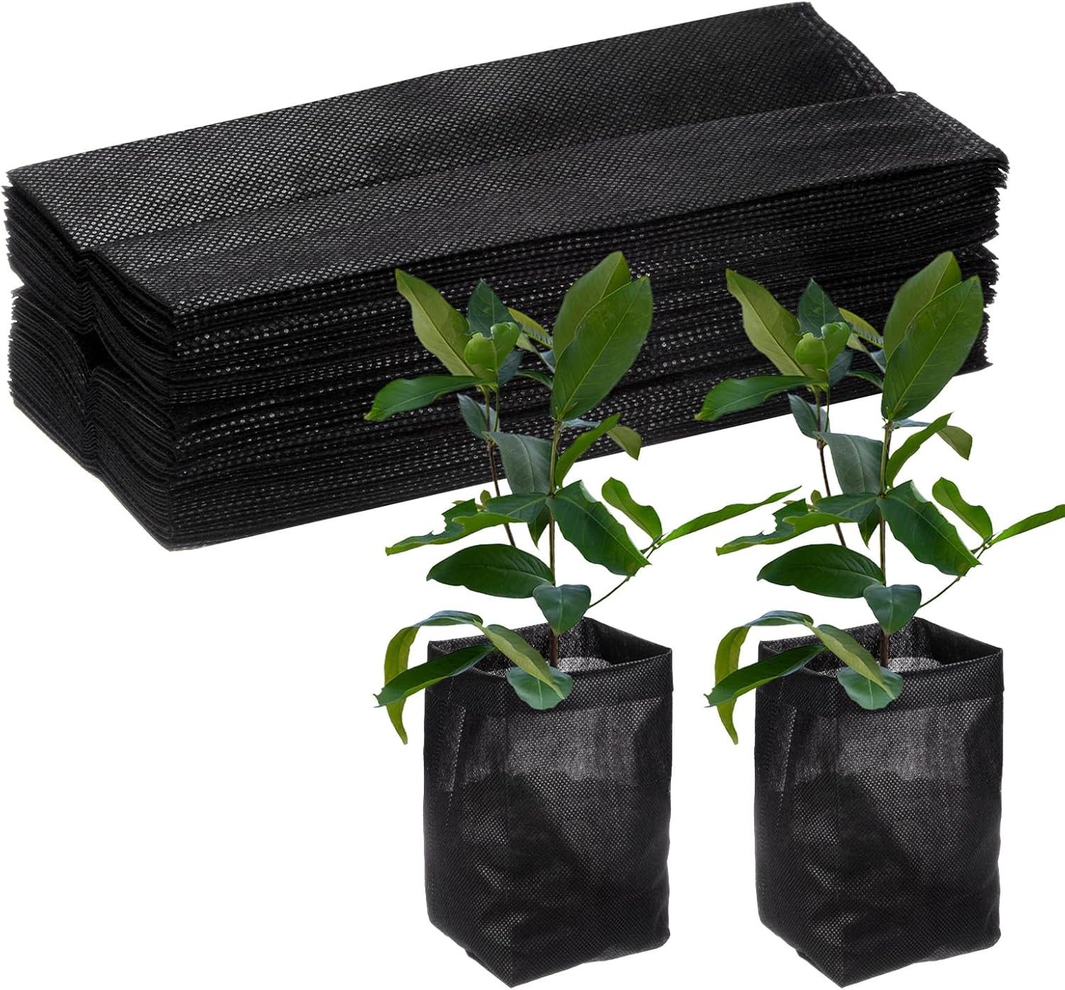 81AQD2urn1L