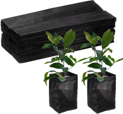 81AQD2urn1L