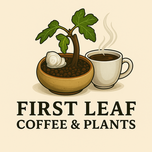 First Leaf Coffee & Plants