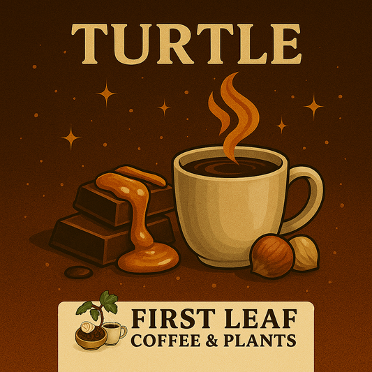 Turtle