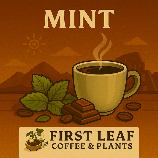 Mint
