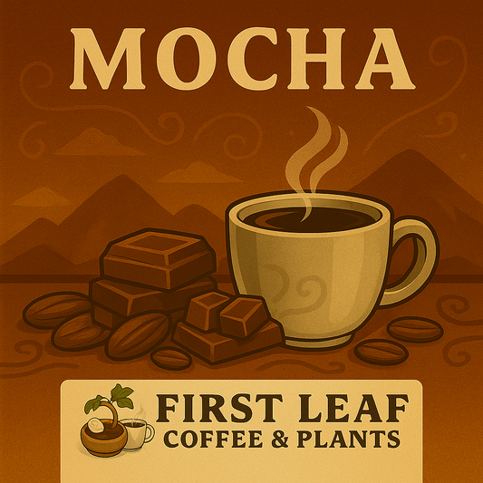 Mocha