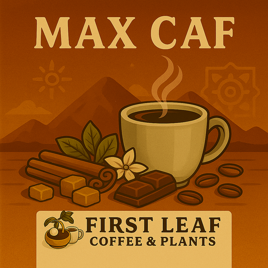 Max Caf Blend